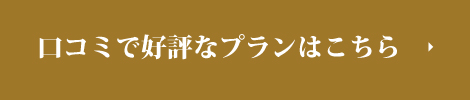 口コミで好評なプランはこちら　‣